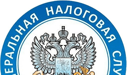 Отчетность в ФНС