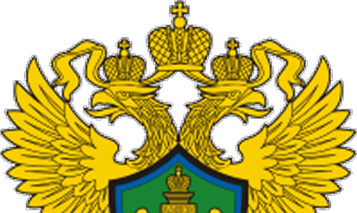 Отчетность в РПН